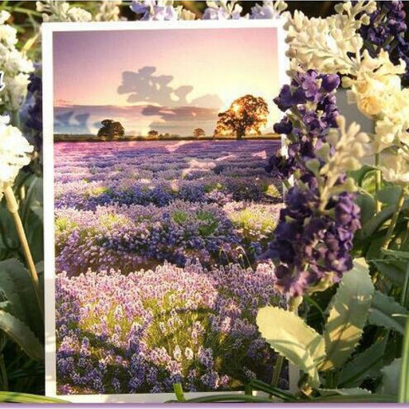 30pcs lot Romantic Provence Gorgeous Landscape Flowers of French city Lavender greeting Postcard