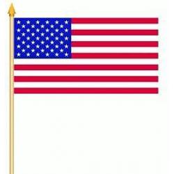 Amerikaanse vlaggen elke vlag vandaag besteld morgen in huis