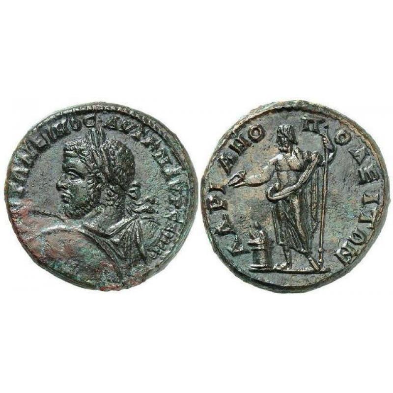 Ruim aanbod in antieke munten!
