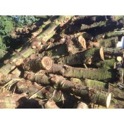 Te koop grote partij kachelhout, openhaardhout, stookhout