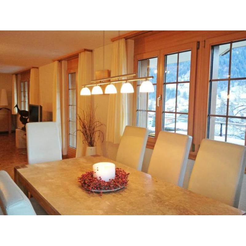 Mooi appartement in Grindelwald met prachtig uitzicht