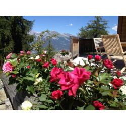 Luxe chalet in Haute Nendaz (4 vallees) Zwitserland