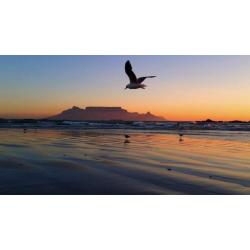 Kaapstad in ZA: STUDIO te huur 5 min v Bloubergstrand strand