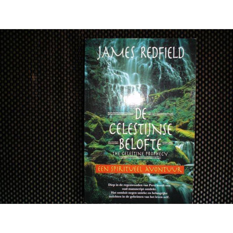 De Celestijnse Belofte + Het Tiende inzicht- James Redfield