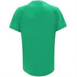 Northern Ireland adults t-shirt ( Official )
