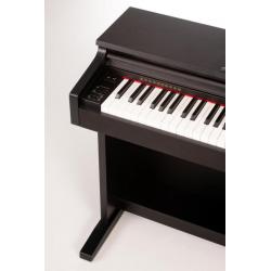 Digitale Piano Entrada | Vernieuwde Klank! | 3 jaar garantie