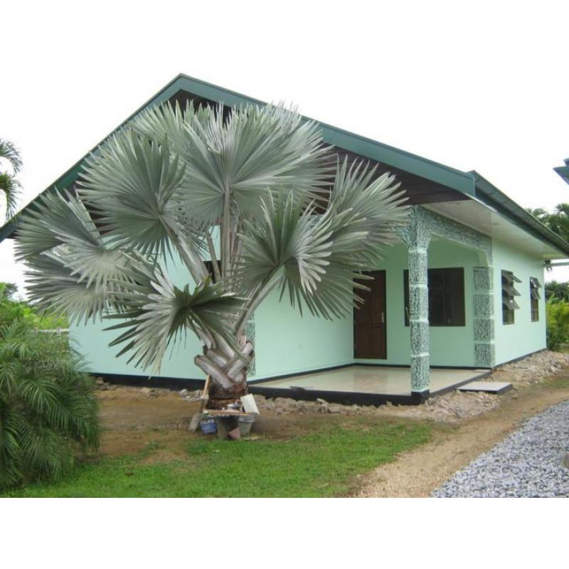 Appartementen in buitengebied Paramaribo (Suriname) 2/4 pers