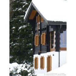 Aan de skipiste, 8P luxe chalet, 4-Vallées skigebied, WiFi