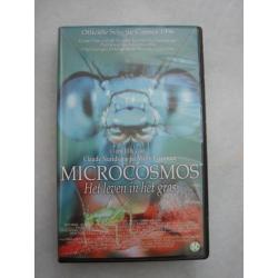 Videoband microcosmos