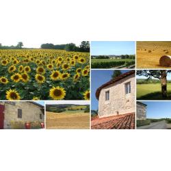 Last minute - vakantiehuis - Brossac (Charente)