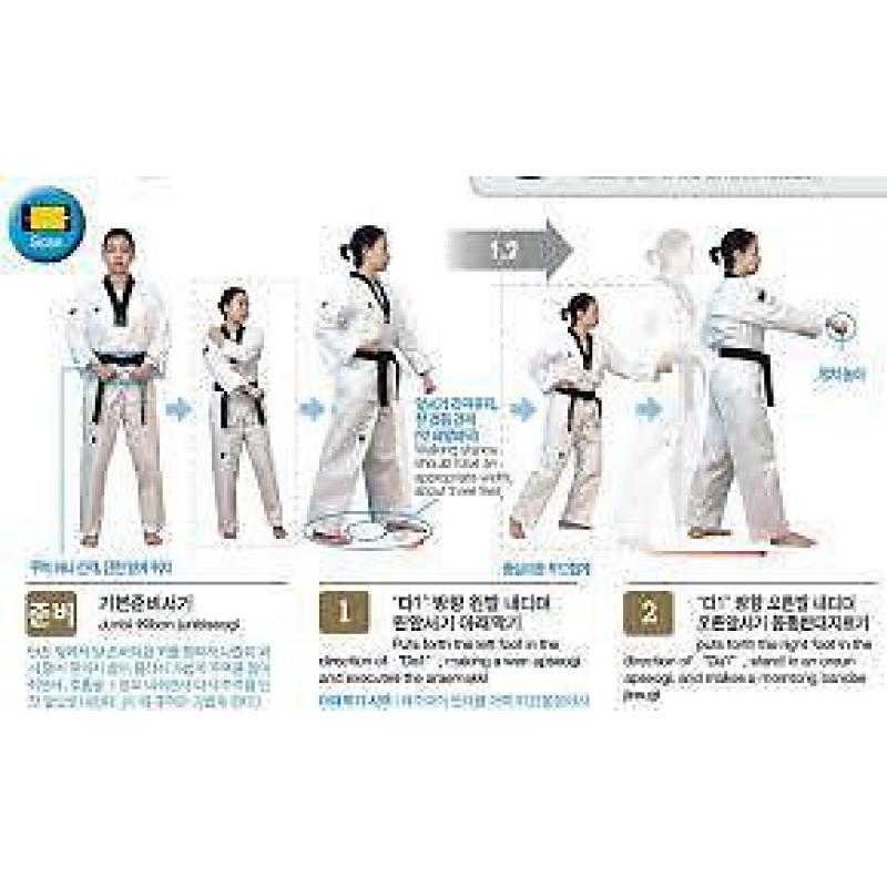 The Official Explanation of Taekwondo Poomsae 2