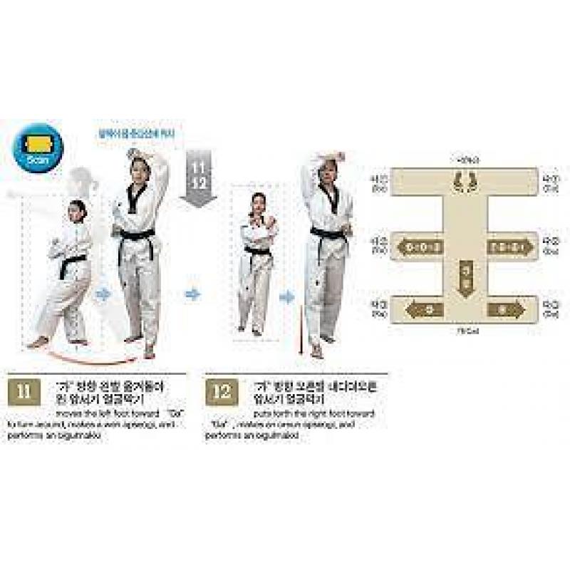 The Official Explanation of Taekwondo Poomsae 2