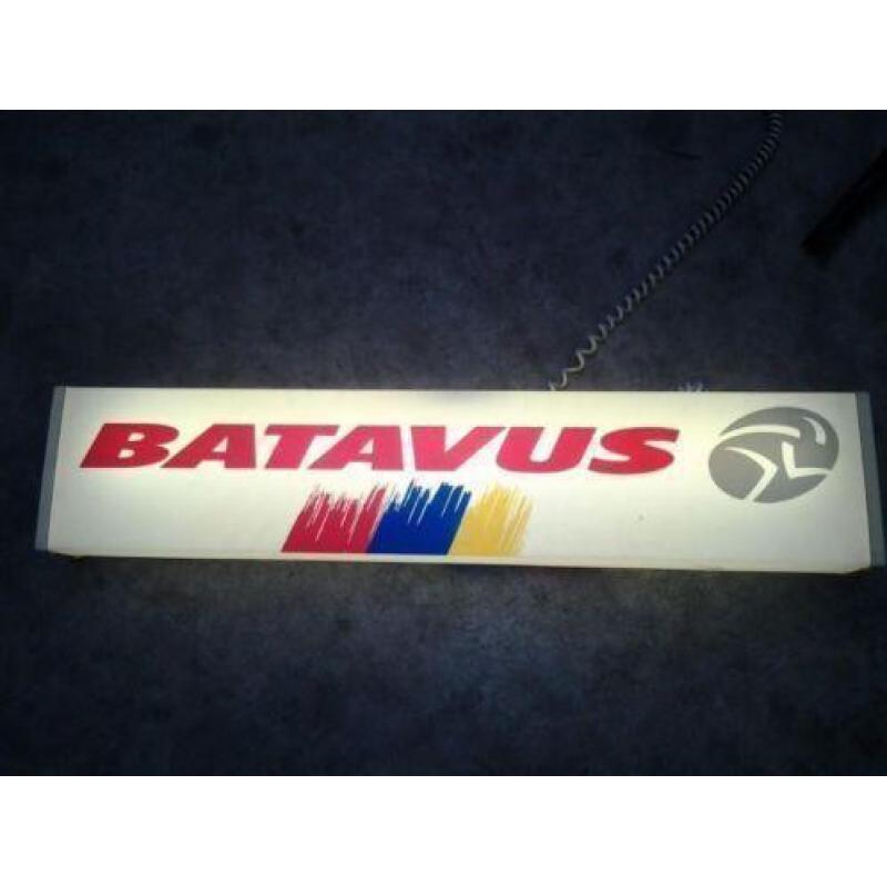 Batavus lichtbak