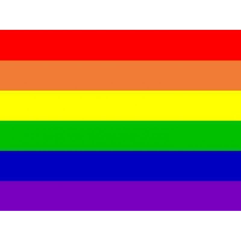 comingout day 11.10.2016 de regenboog vlag in top va 20 cent