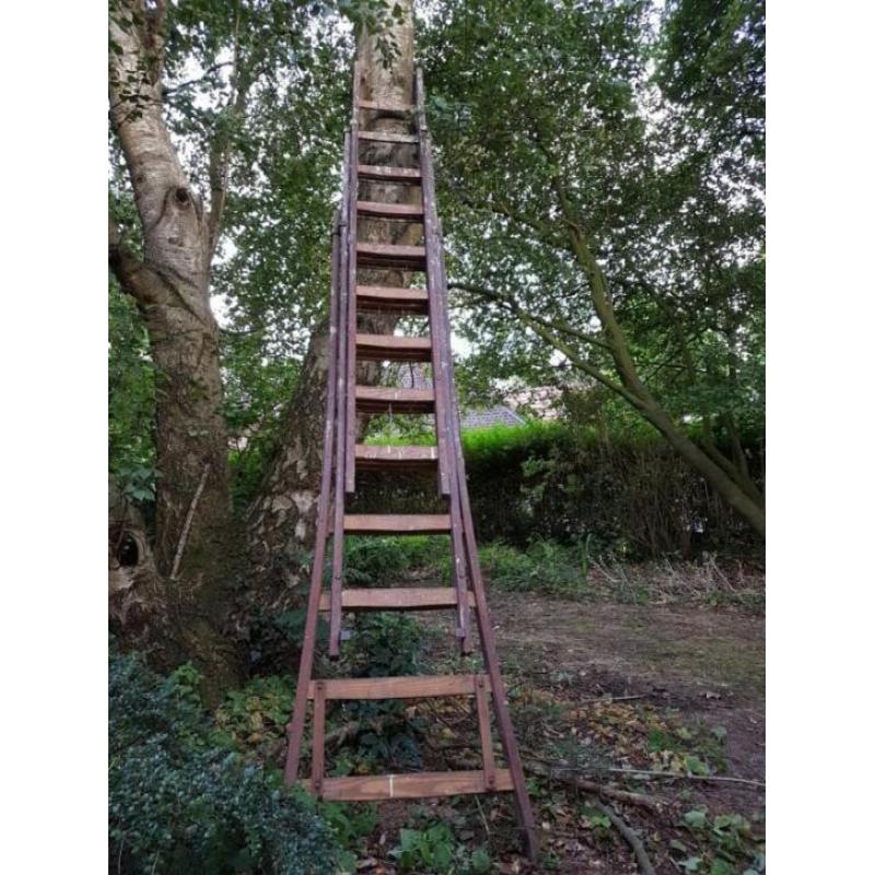 ladder hardhout antiek vintage