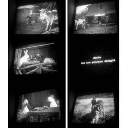 16mm film "Monkey on the Run" dierenspeelfilm - 8 min zw/w -