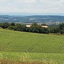boerderij zuid Frankrijk 6 hectare