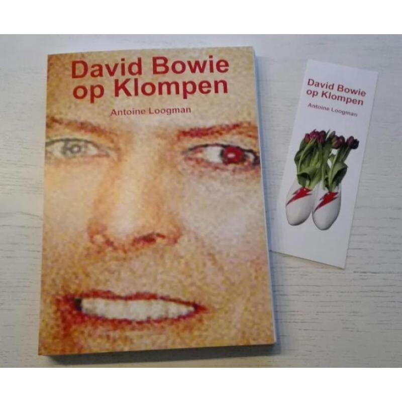 Het ultieme must have David Bowie boek