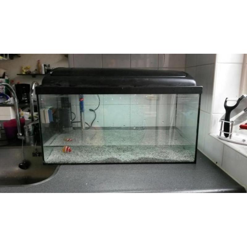 aquarium 60 liter