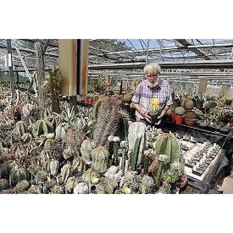 100.000 cactussen, // 2500 verschillende soorten,