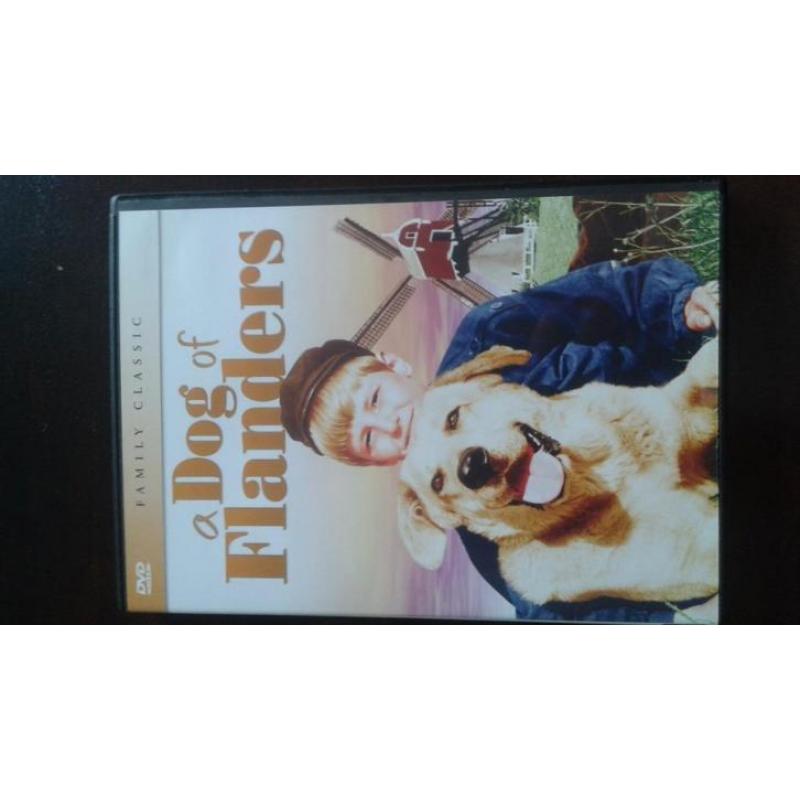 DVD, a dog of flanders