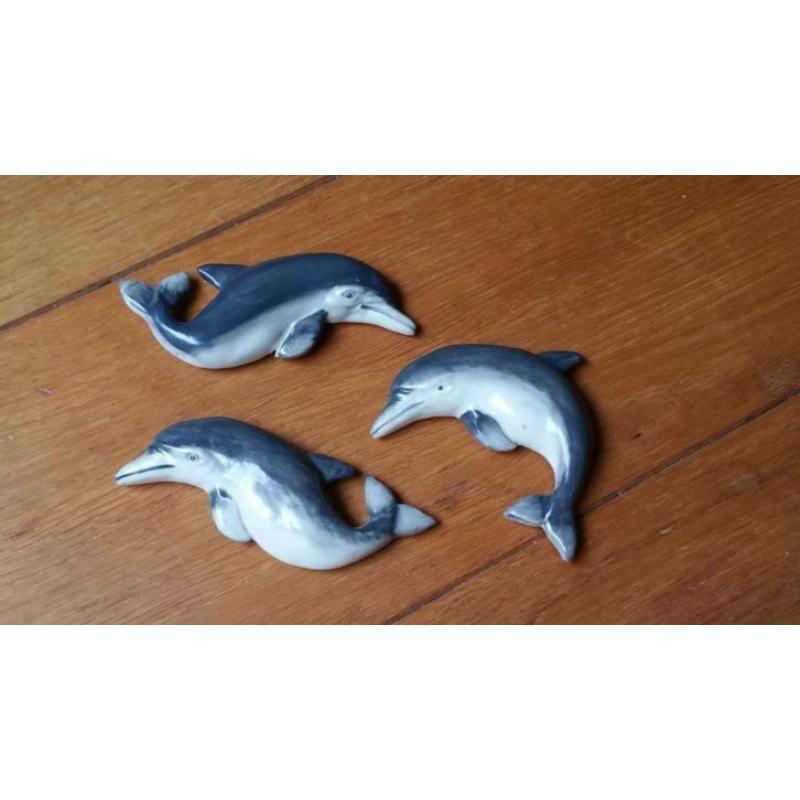 054 Dolfijn / dolfijnen magneet / magneten (set 3 stuks)