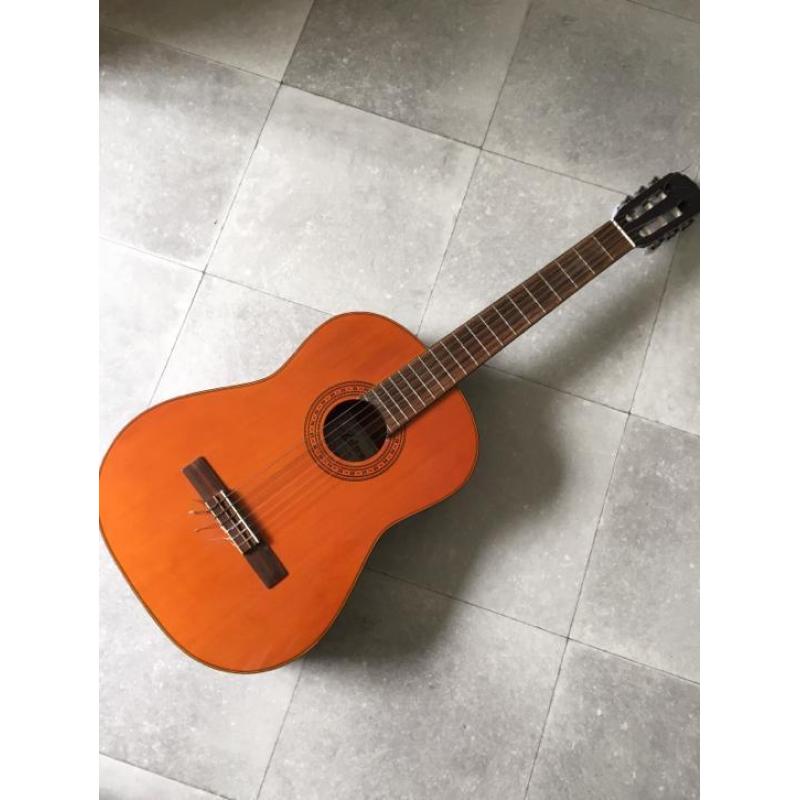 Akoestische gitaar Ariana AK 68