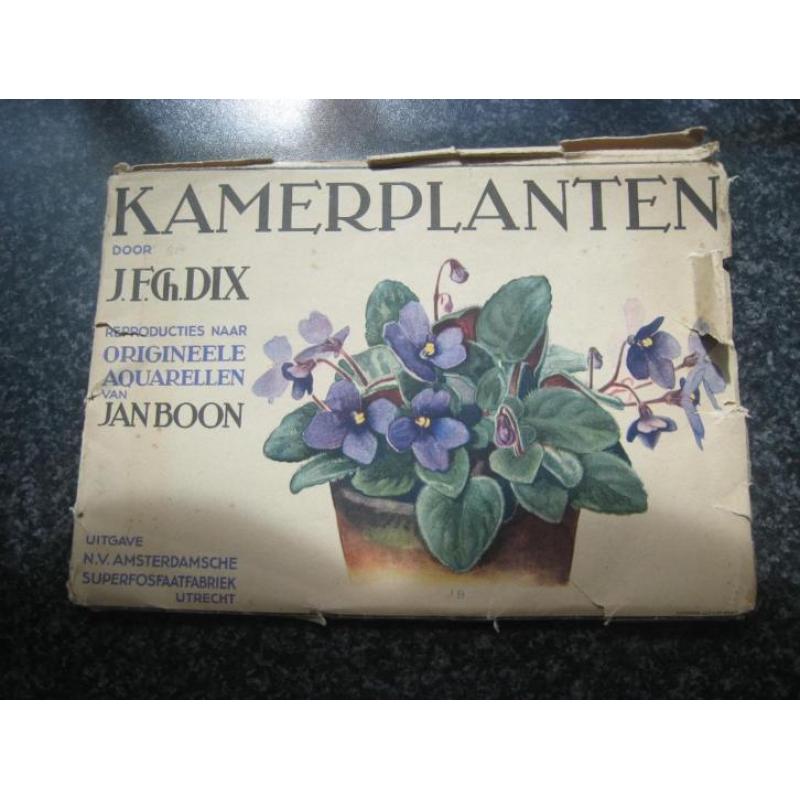 Kamerplanten-Amsterdamsche superfosfaatfabriek-ca1930