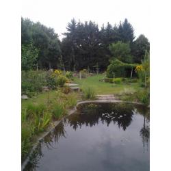 Prachtig onderhouden tuin ca. 1200 m2 Horst aan de Maas