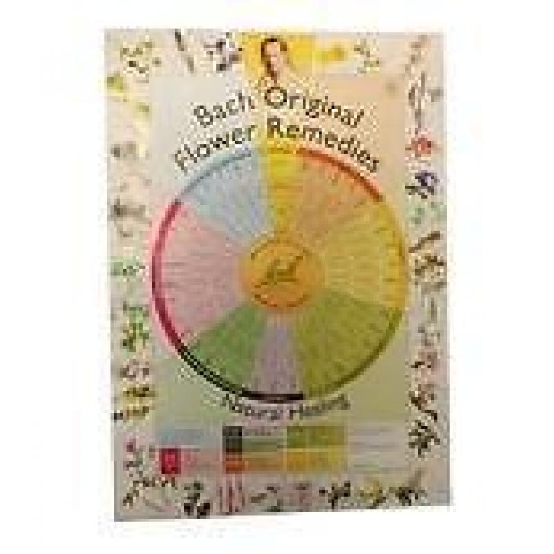 Bach Bach Remedies Poster A2 A2