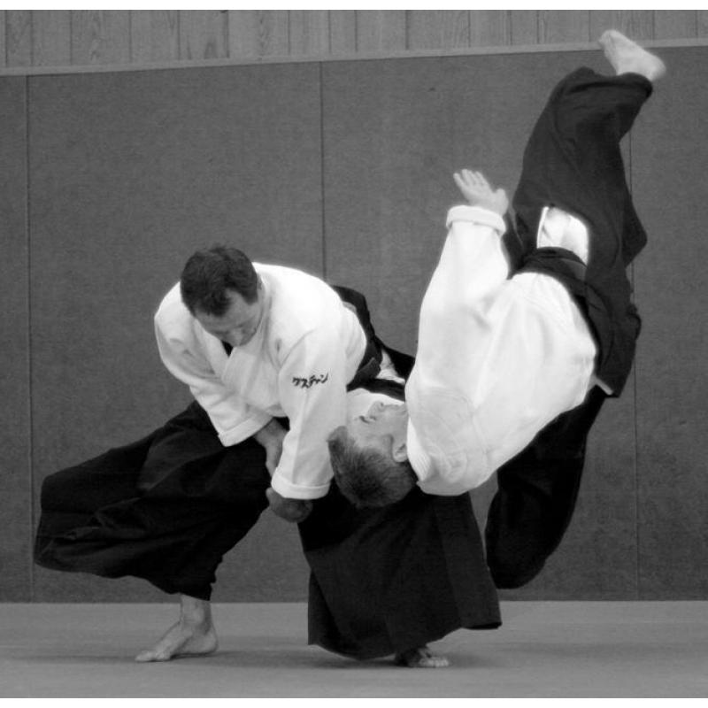 introductiecursus aikido