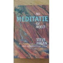 Nu meditatie of nooit Steve Hagen