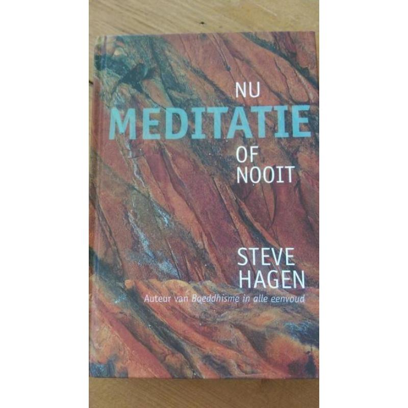 Nu meditatie of nooit Steve Hagen