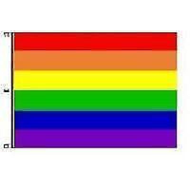 Coming Out Day gemeentehuis regenboog premium vlag