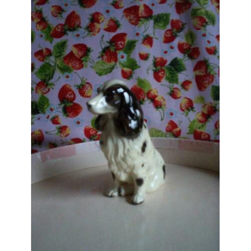 Miniatuur honden Spaniel Labrador Teckel rashonden porselein