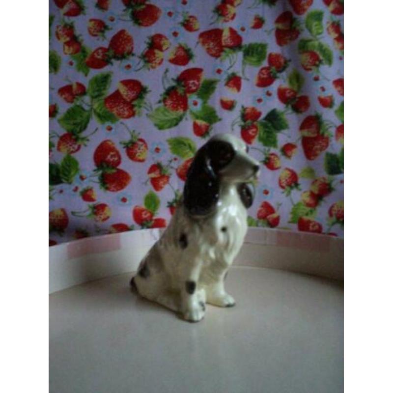 Miniatuur honden Spaniel Labrador Teckel rashonden porselein