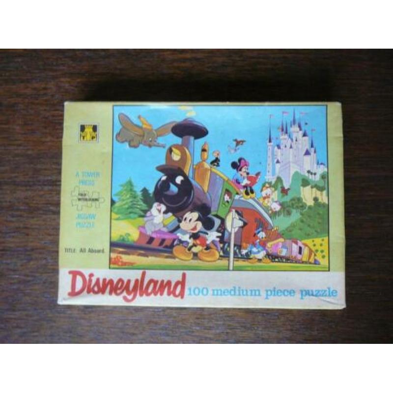Disneyland Jig Saw puzzel