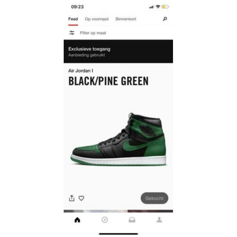 Air Jordan 1 Black/Pine Green