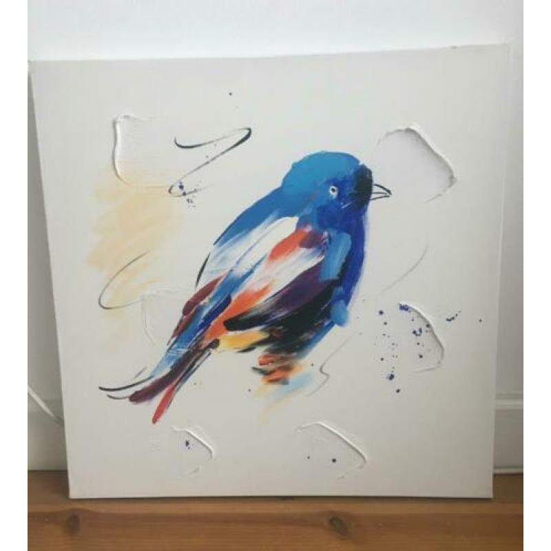 Schilderij kleurijke vogel (50x50x3)