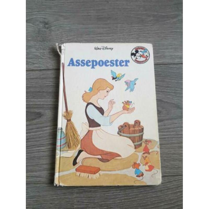 DISNEY Assepoester - boek (SJ658)