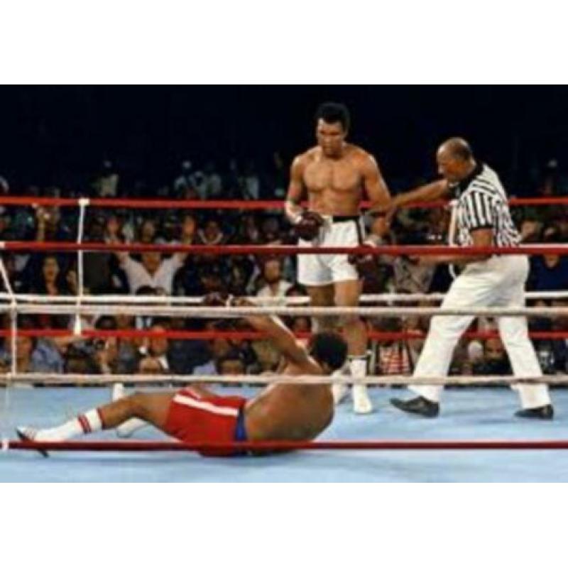 Muhammad Ali/Cassius Clay ca. 60 dvd's en foto's.