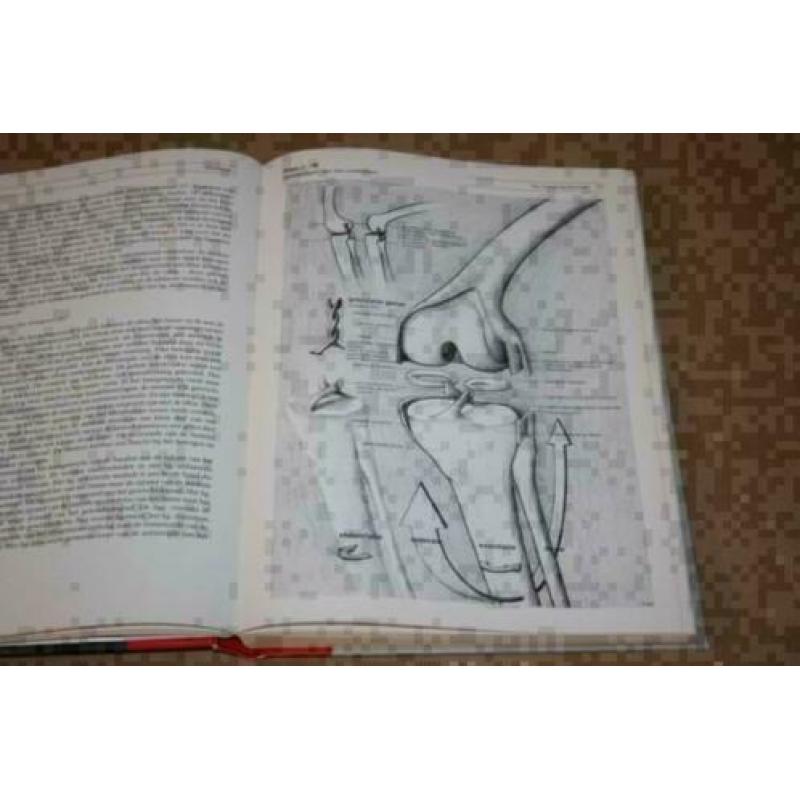 Anatomie, histologie en fysiologie van de mens !!