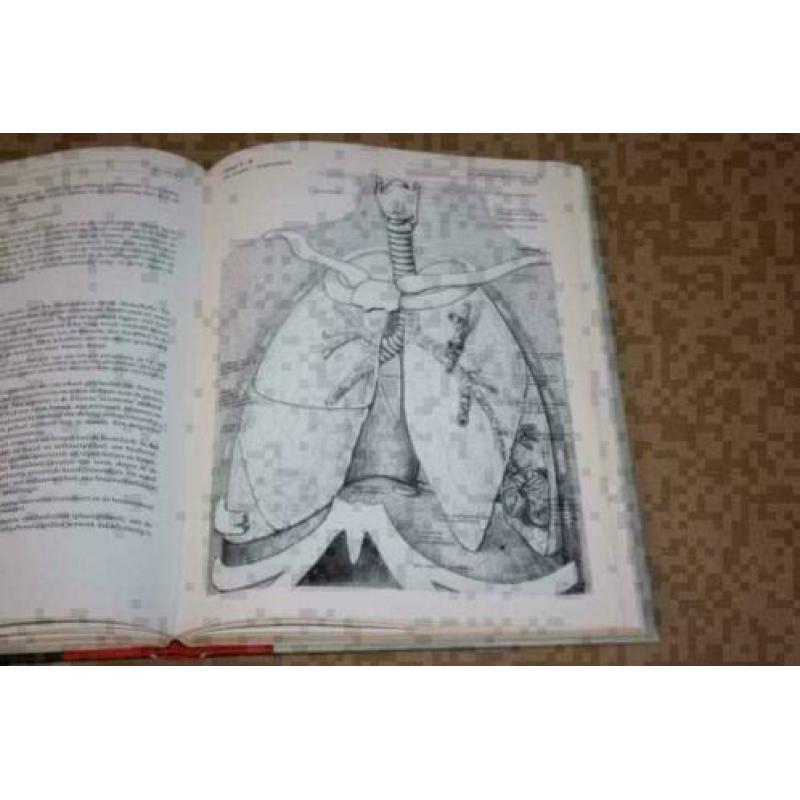 Anatomie, histologie en fysiologie van de mens !!