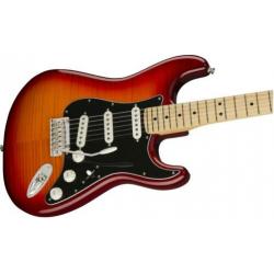 Fender Player Stratocaster Plus Top, Maple Fingerboard, Ag
