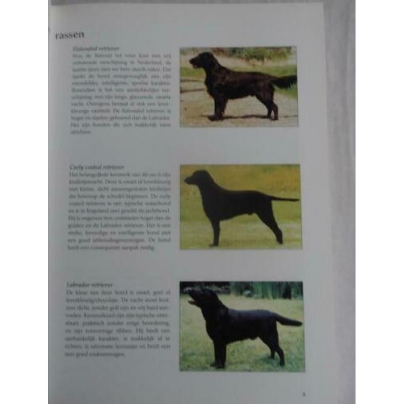 DE LABRADOR RETRIEVER * Nederlandse Labrador Vereniging *