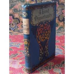 Mooi antiek Engels boek A lost Opporttunity uit 1898.