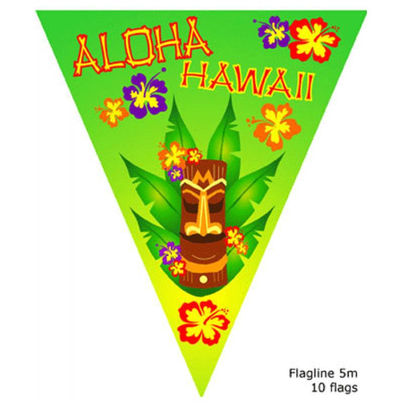 Hawaii feestartikelen AlleKleurenShirts Aloha vlaggenlijn hawaii 5 meter